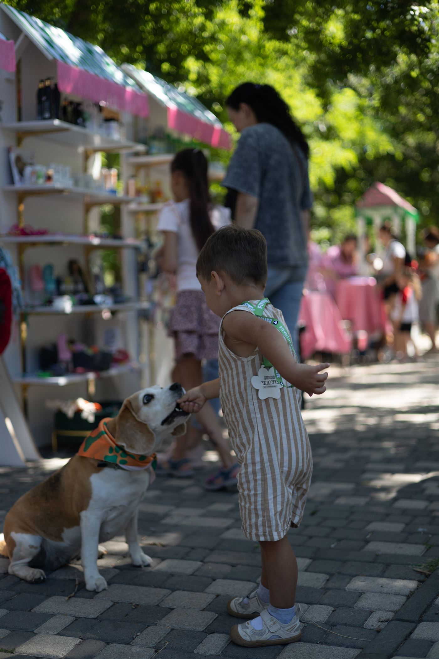 PetVille Fest Одеса